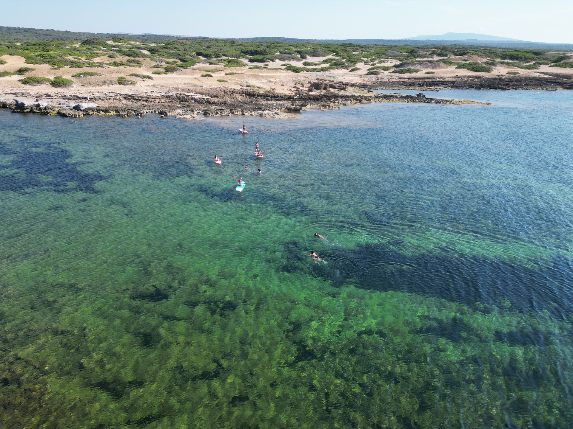 Snorkeling en eau turquoise face à Zembra