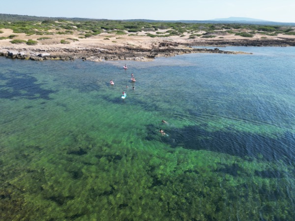 Snorkeling en eau turquoise